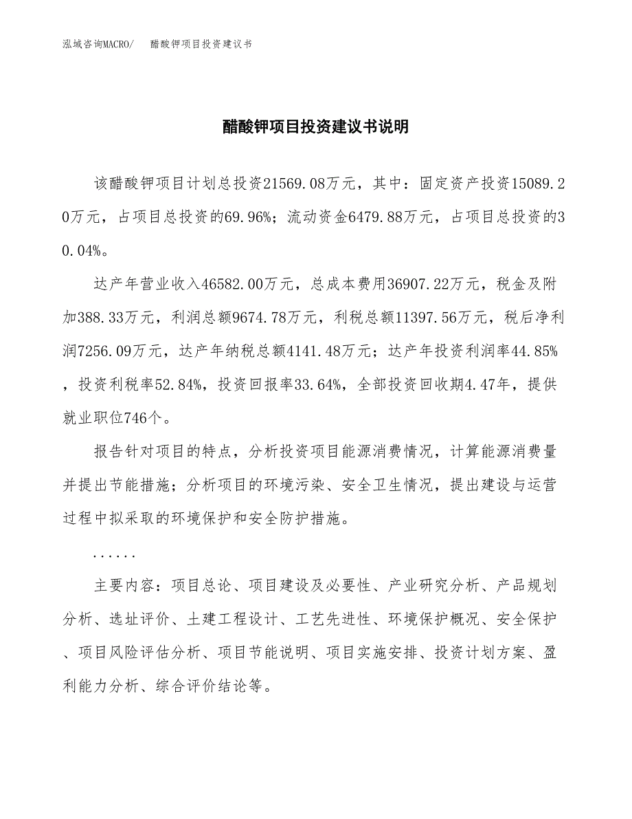 醋酸钾项目投资建议书(总投资22000万元)_第2页