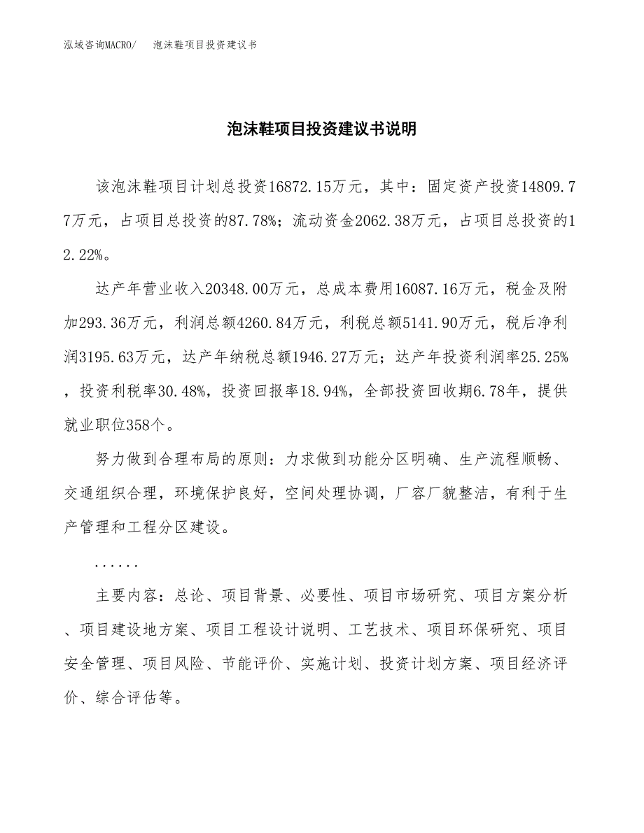 泡沫鞋项目投资建议书(总投资17000万元)_第2页