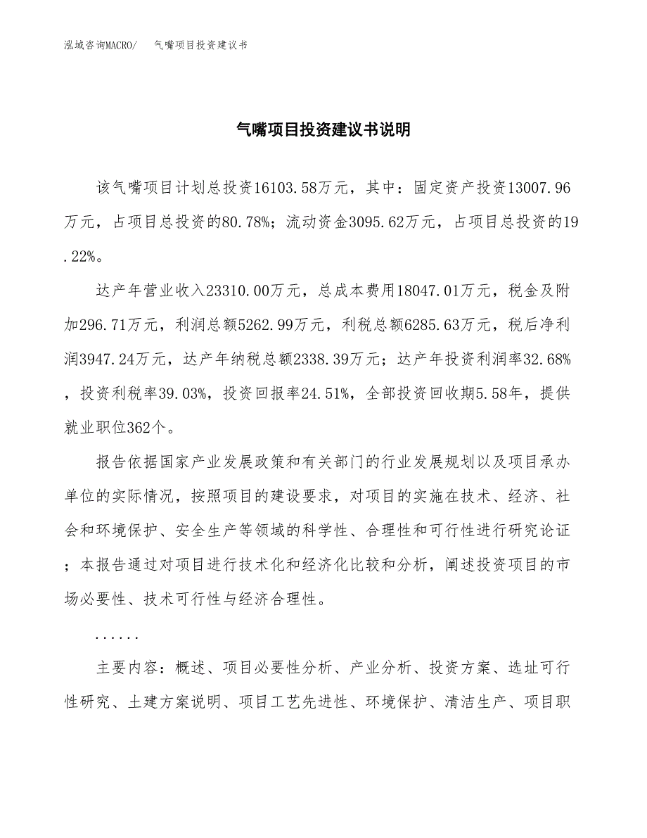 气嘴项目投资建议书(总投资16000万元)_第2页