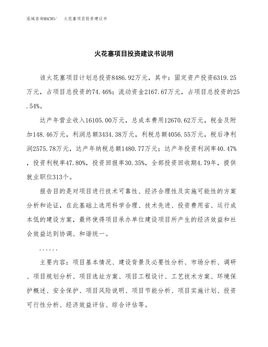 火花塞项目投资建议书(总投资8000万元)_第2页