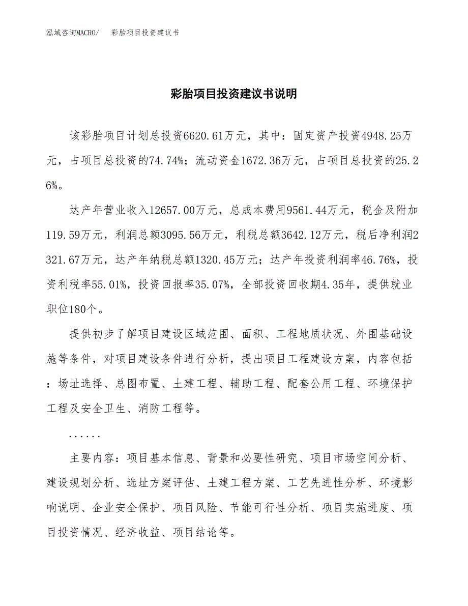 彩胎项目投资建议书(总投资7000万元)_第2页