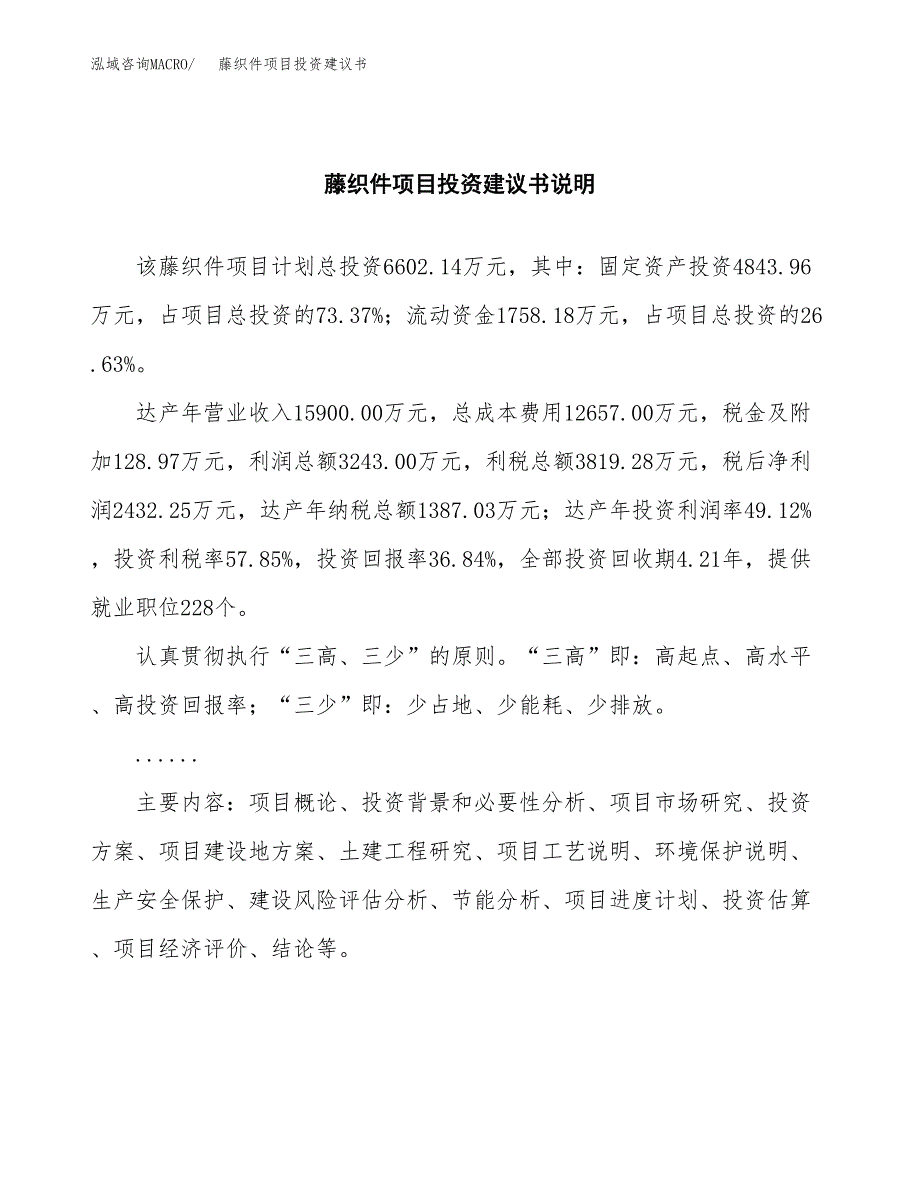 藤织件项目投资建议书(总投资7000万元)_第2页