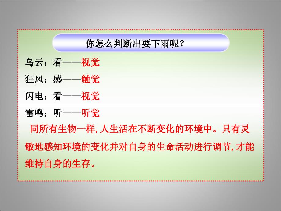 济南版生物七下第四节《人体对周围世界的感知》p pt 课件_第3页