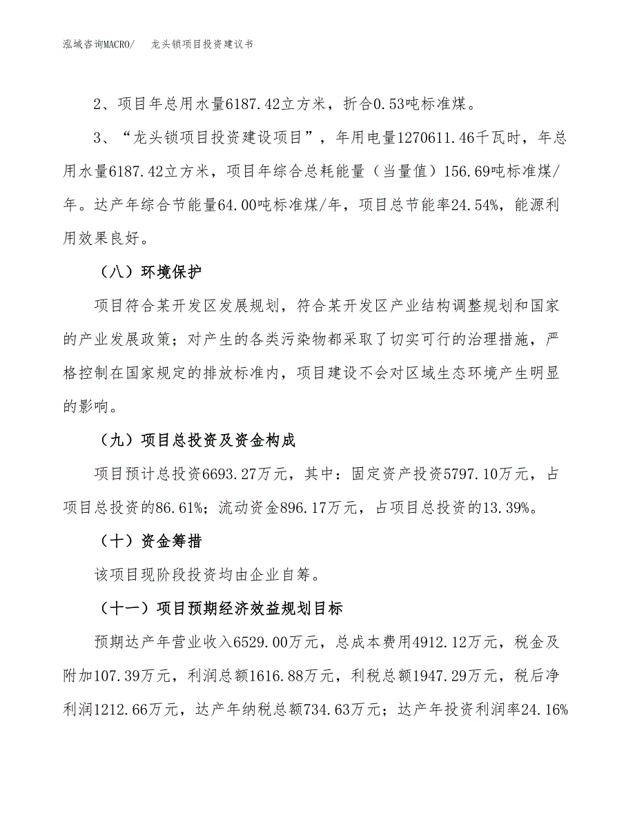 龙头锁项目投资建议书(总投资7000万元)_第4页