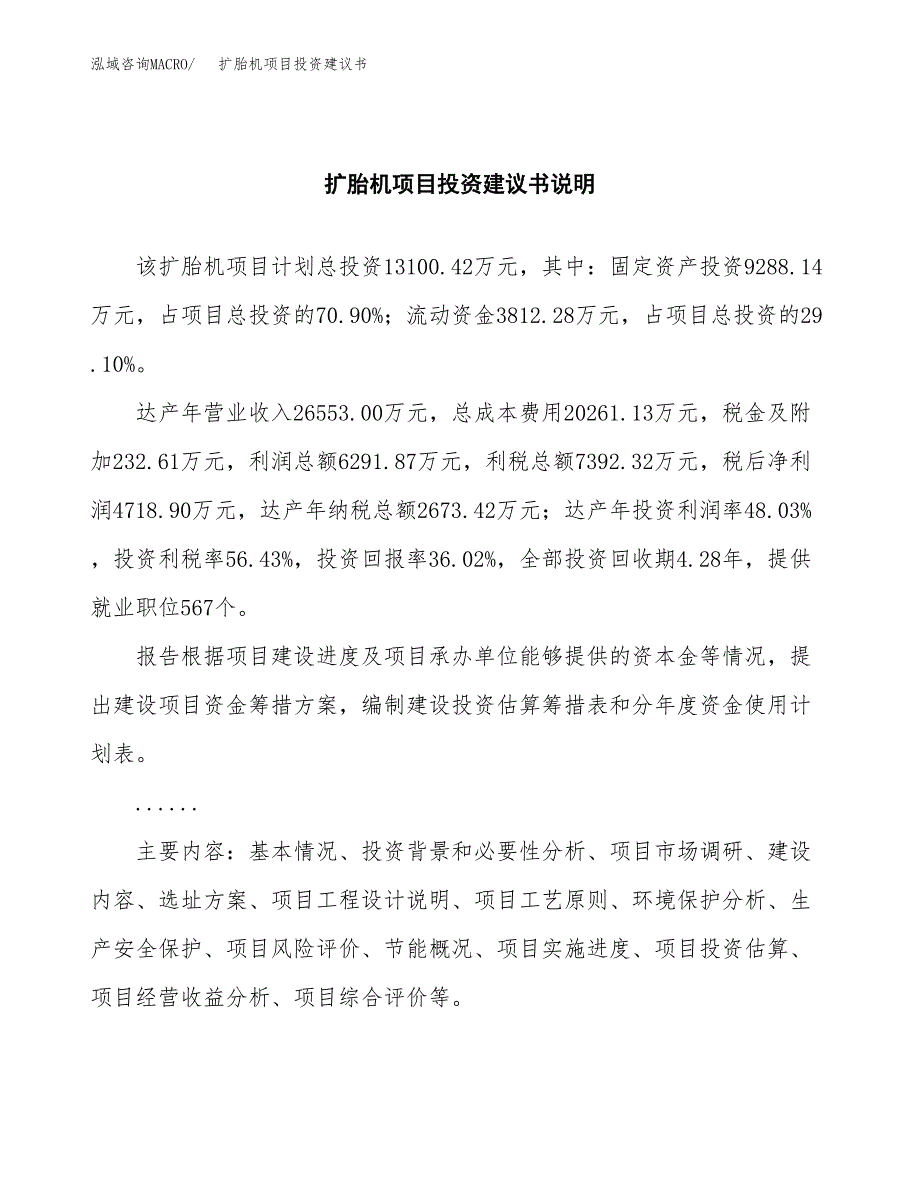 扩胎机项目投资建议书(总投资13000万元)_第2页