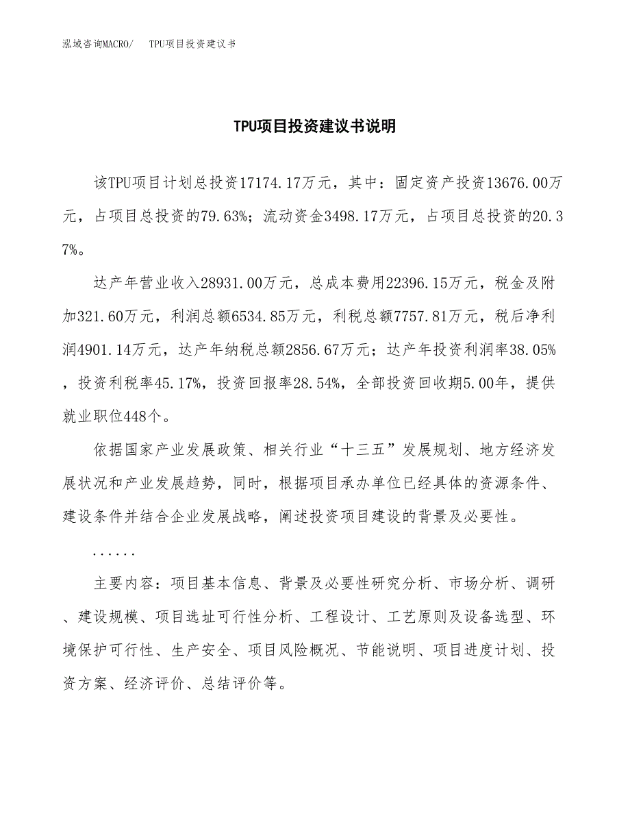 TPU项目投资建议书(总投资17000万元)_第2页