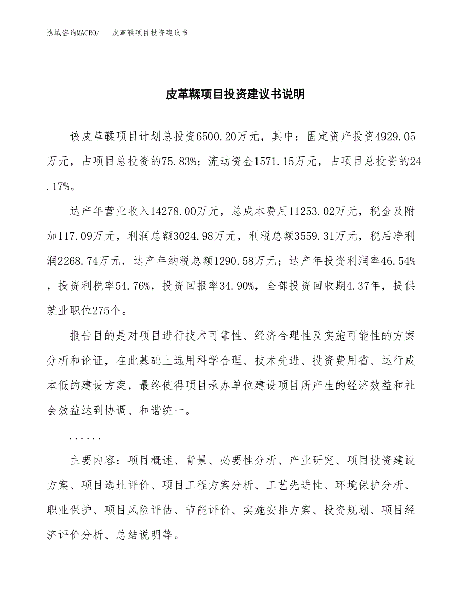 皮革鞣项目投资建议书(总投资7000万元)_第2页