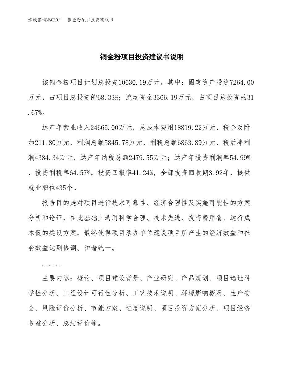 铜金粉项目投资建议书(总投资11000万元)_第2页