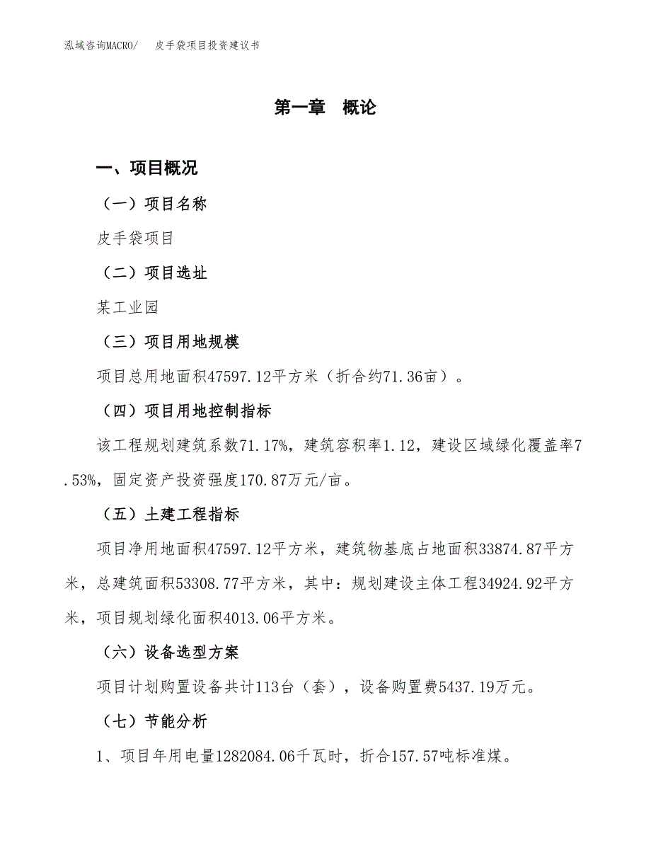 皮手袋项目投资建议书(总投资14000万元)_第4页