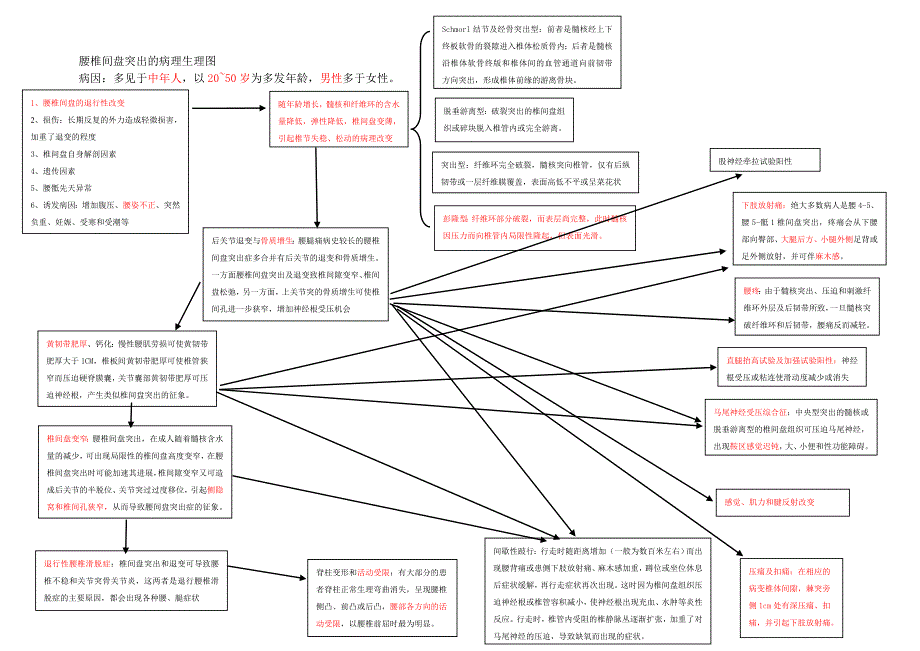 病理生理图-腰椎间盘突出_第1页