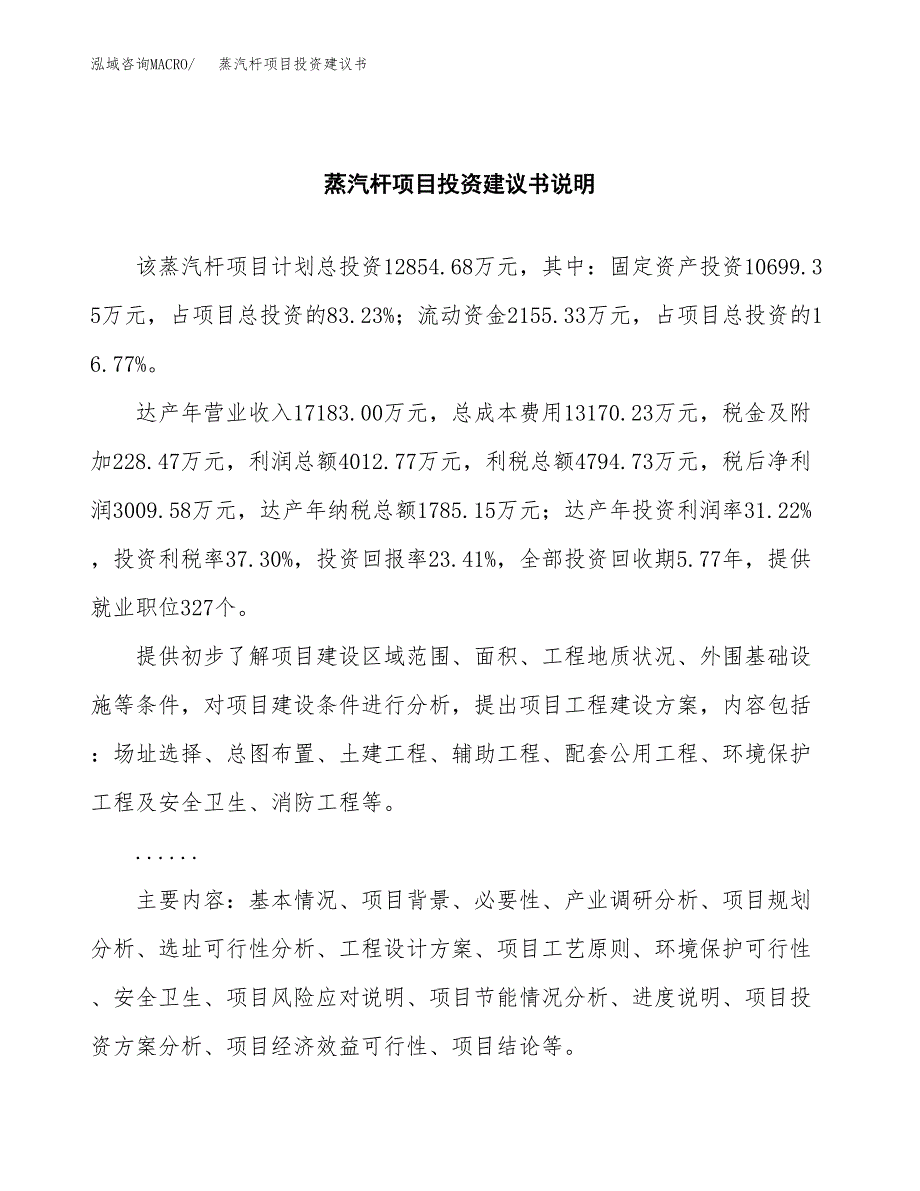 蒸汽杆项目投资建议书(总投资13000万元)_第2页