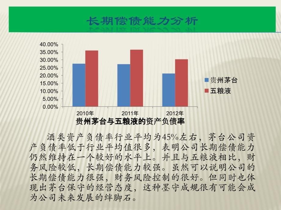 贵州茅台与五粮液的财务报表对比分析_第5页