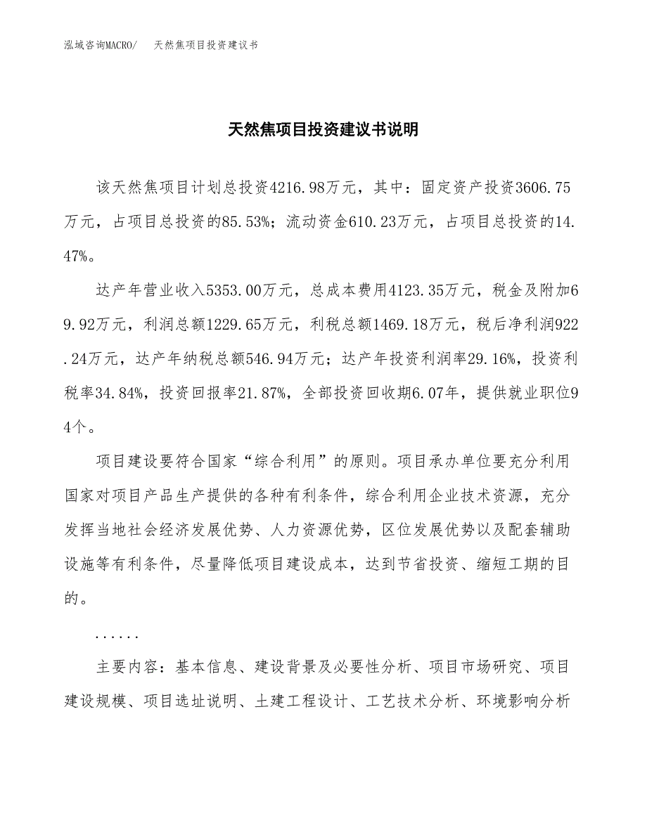 天然焦项目投资建议书(总投资4000万元)_第2页