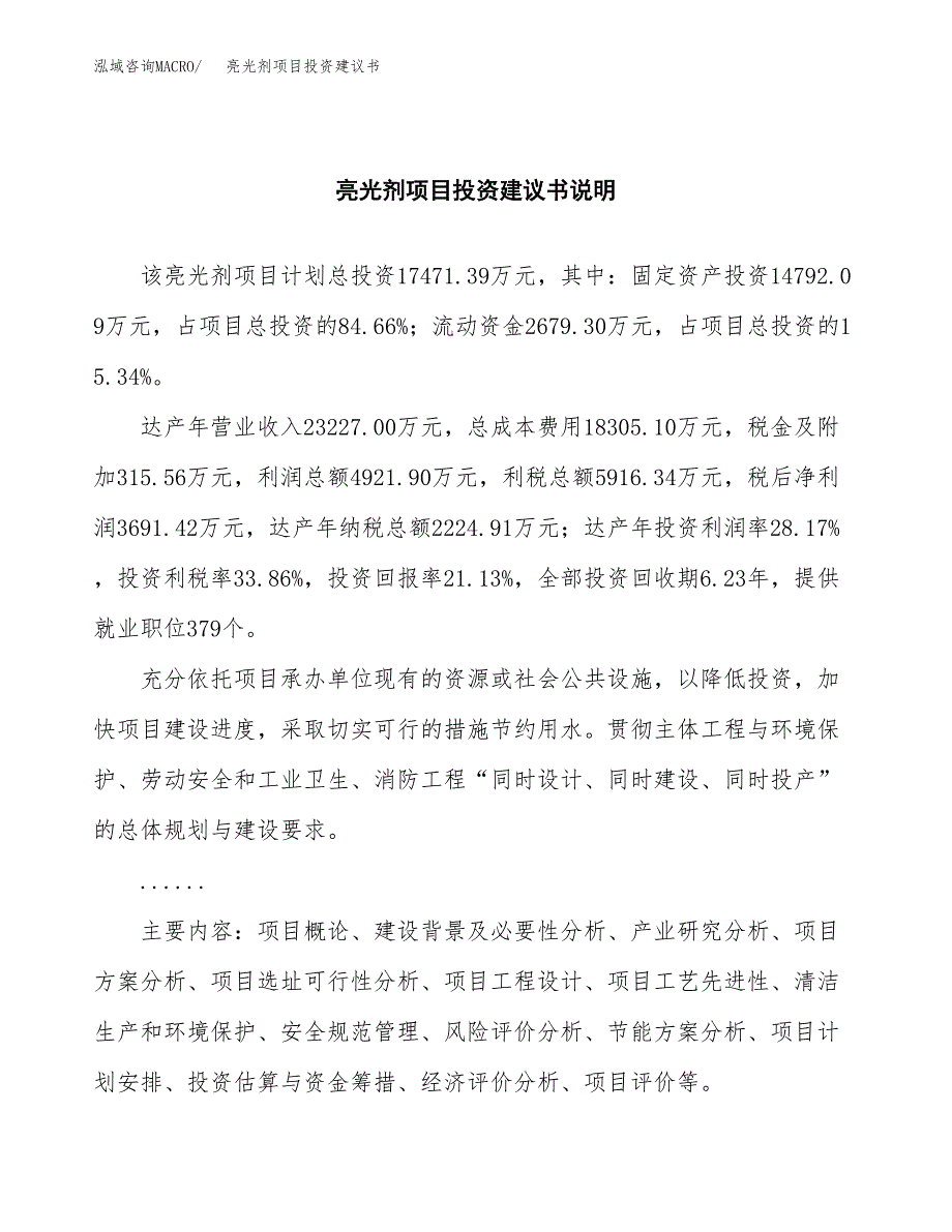 亮光剂项目投资建议书(总投资17000万元)_第2页