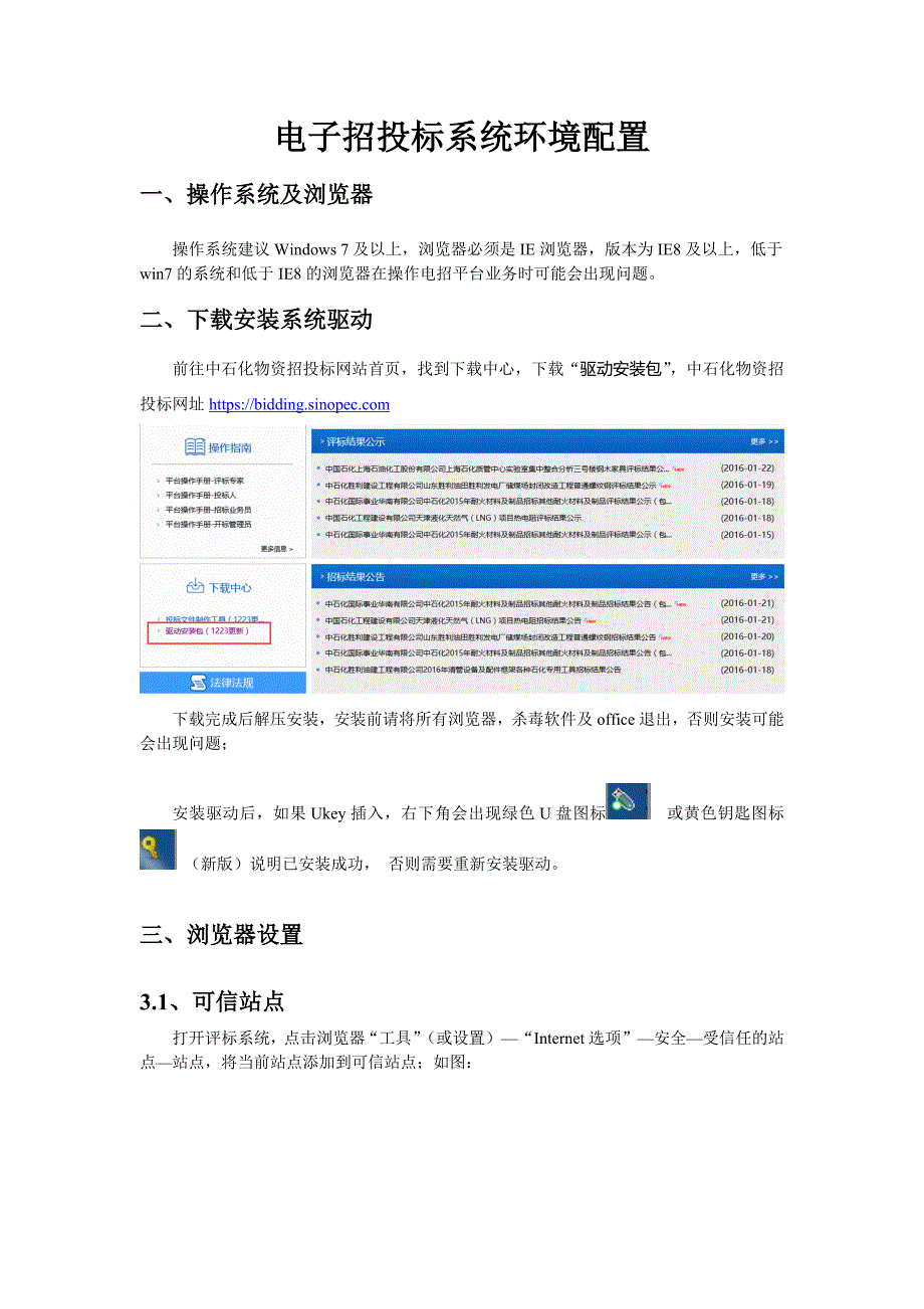 电子招投标系统环境配置_第1页