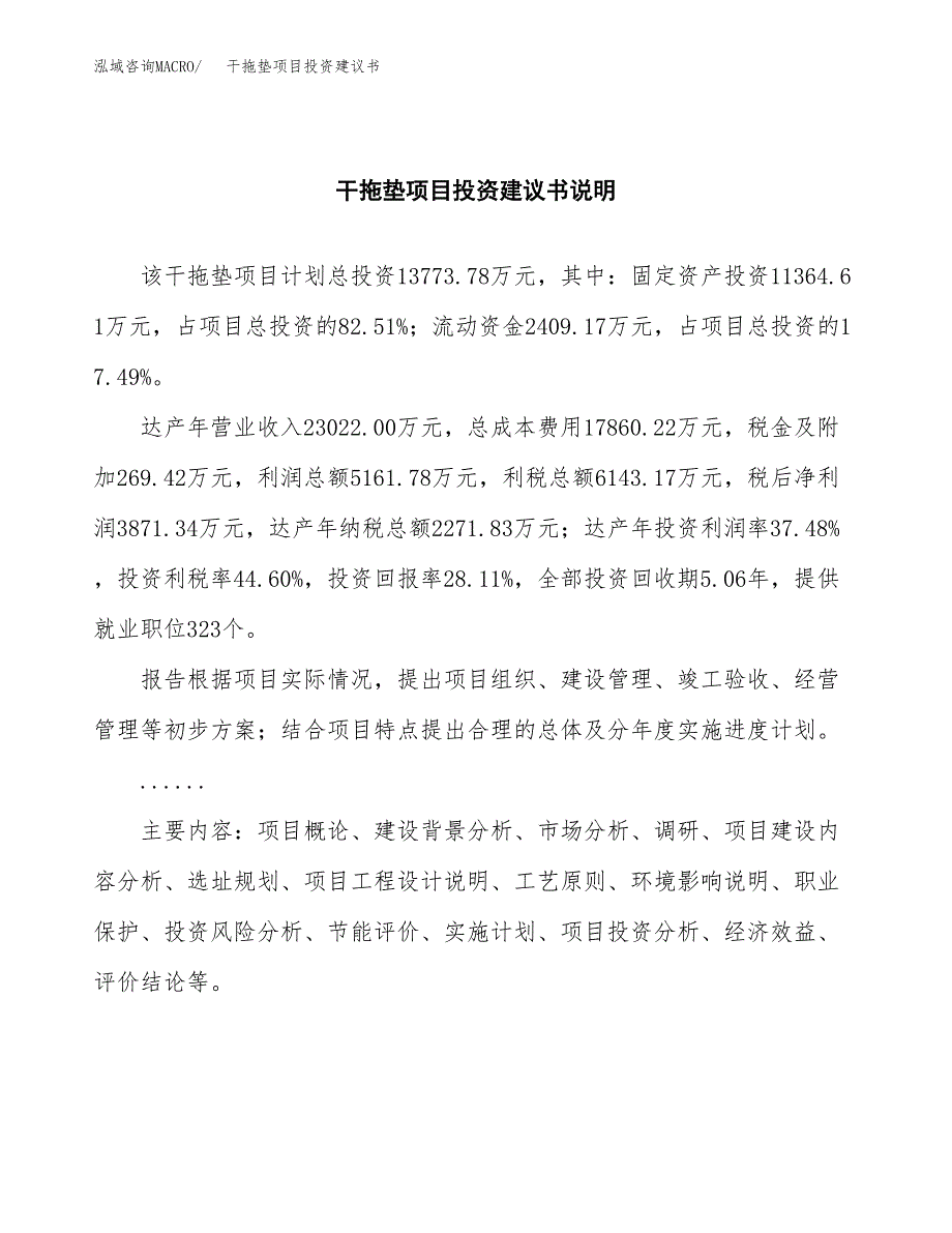 干拖垫项目投资建议书(总投资14000万元)_第2页