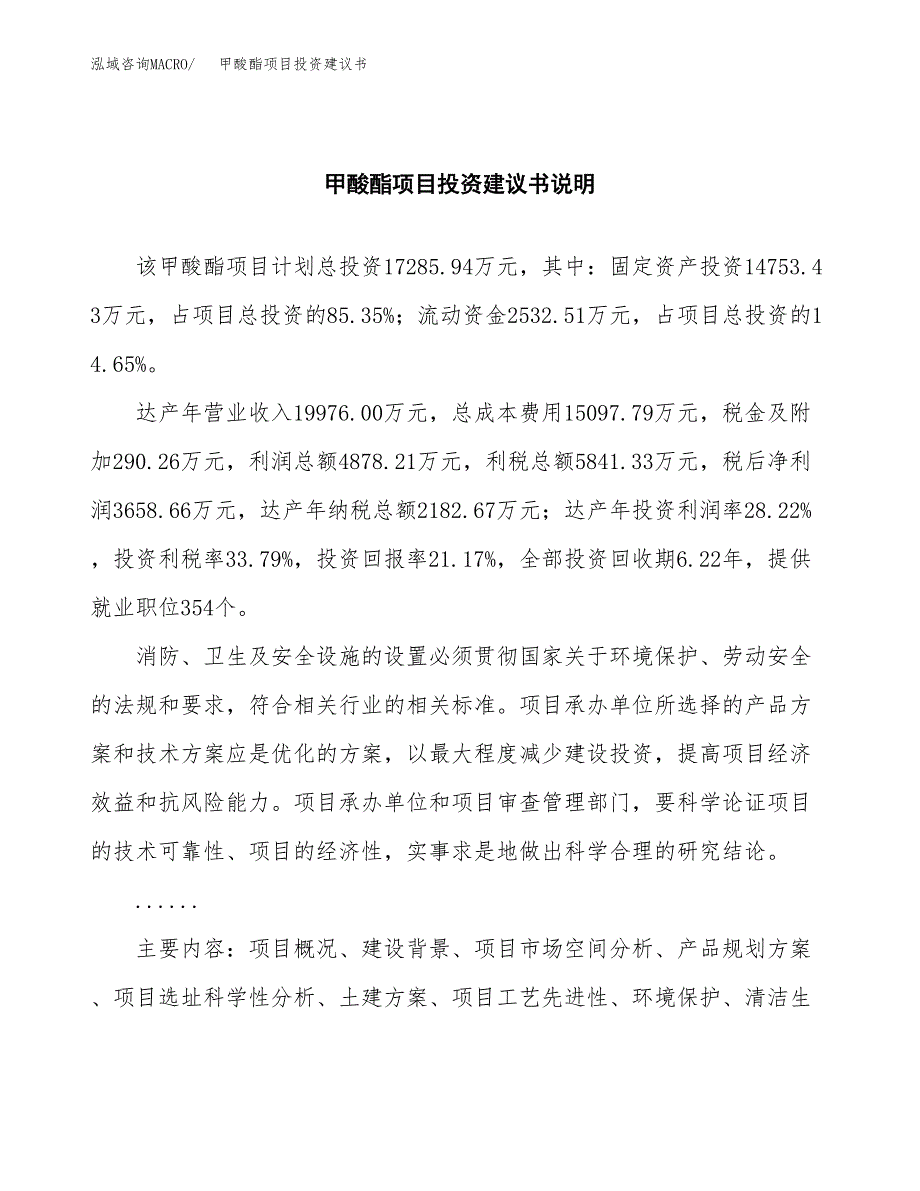 甲酸酯项目投资建议书(总投资17000万元)_第2页