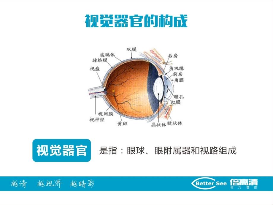 新课件倍高清眼球知识课件_第4页