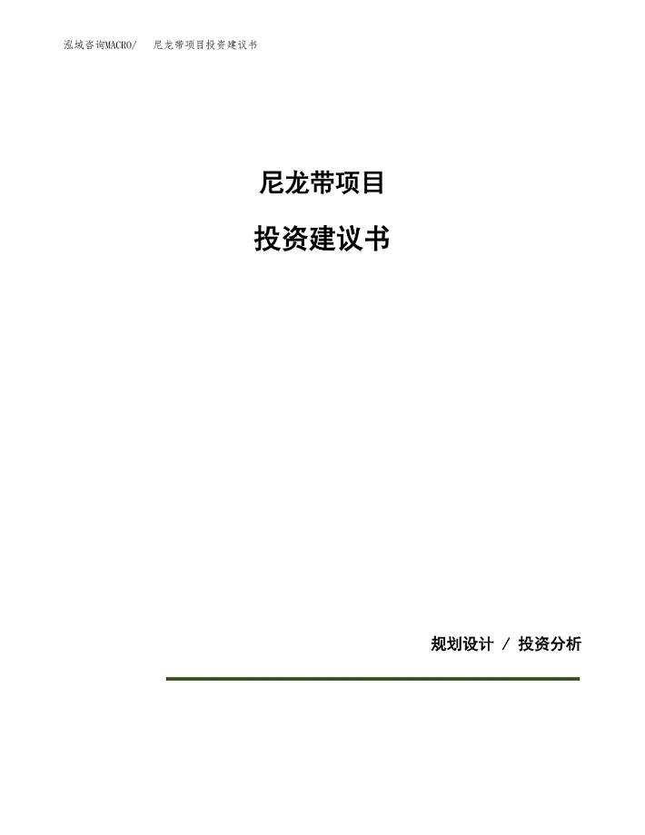 尼龙带项目投资建议书(总投资4000万元)