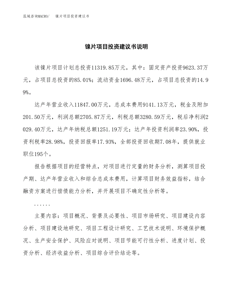 镍片项目投资建议书(总投资11000万元)_第2页