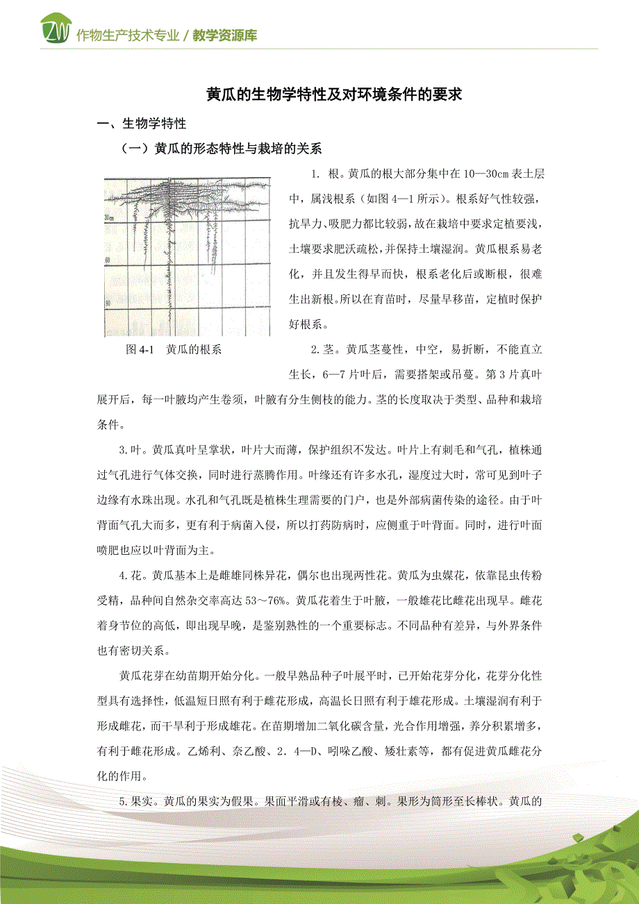 设施蔬菜生产黄瓜的生物学特性及品种类型(精)_第1页