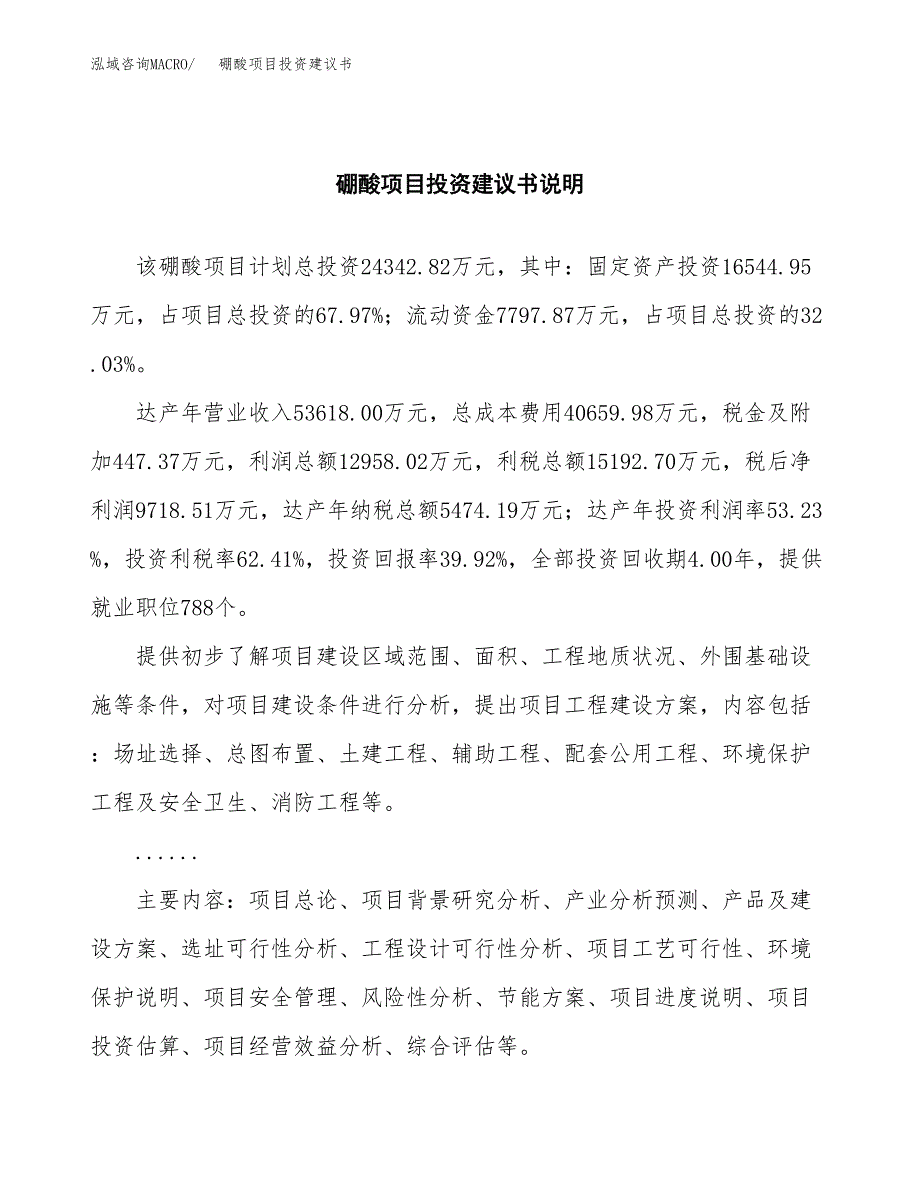 硼酸项目投资建议书(总投资24000万元)_第2页