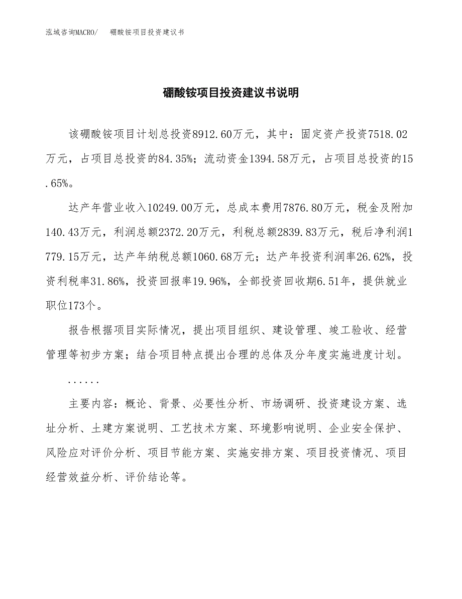 硼酸铵项目投资建议书(总投资9000万元)_第2页