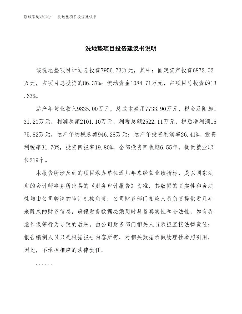 洗地垫项目投资建议书(总投资8000万元)_第2页