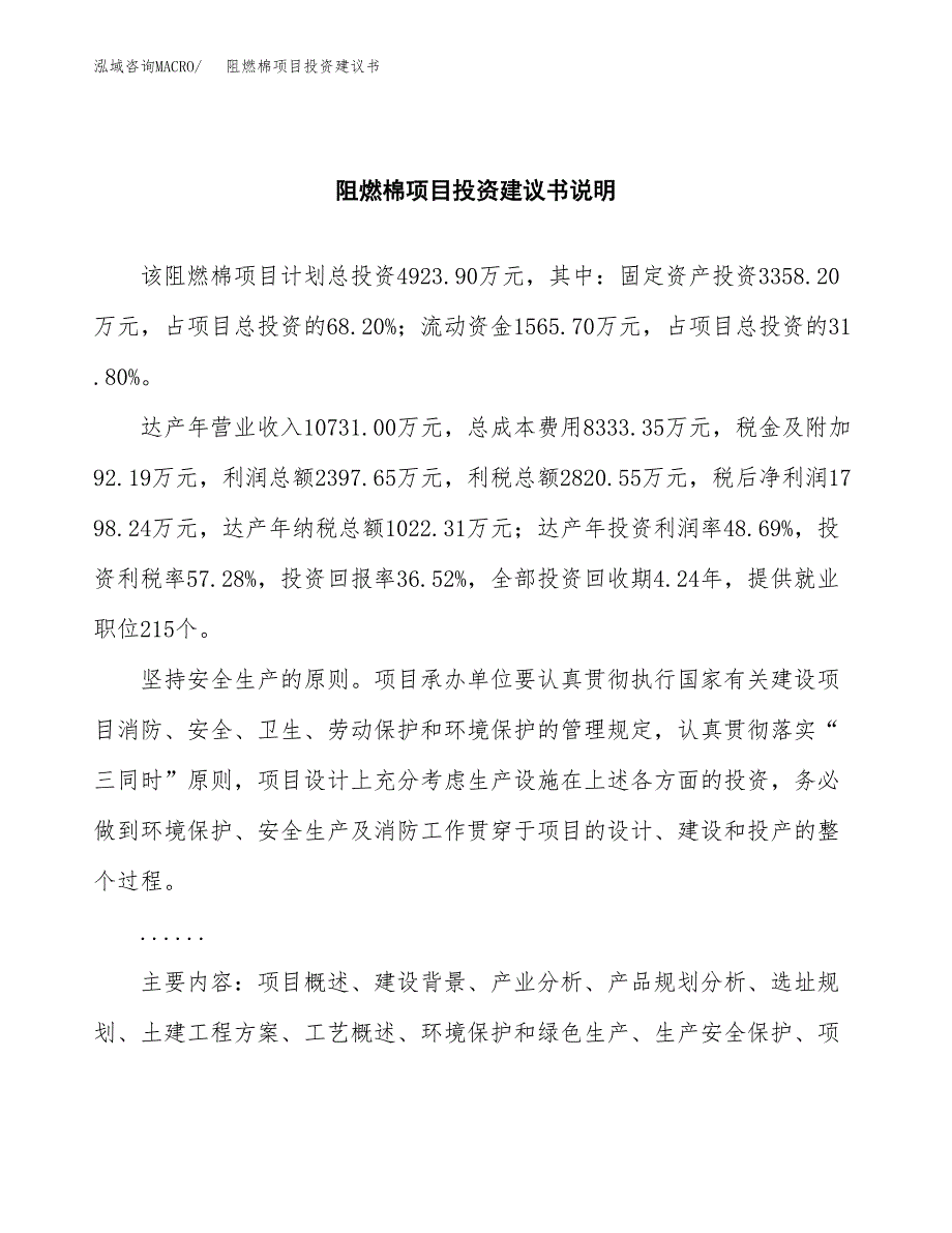 阻燃棉项目投资建议书(总投资5000万元)_第2页