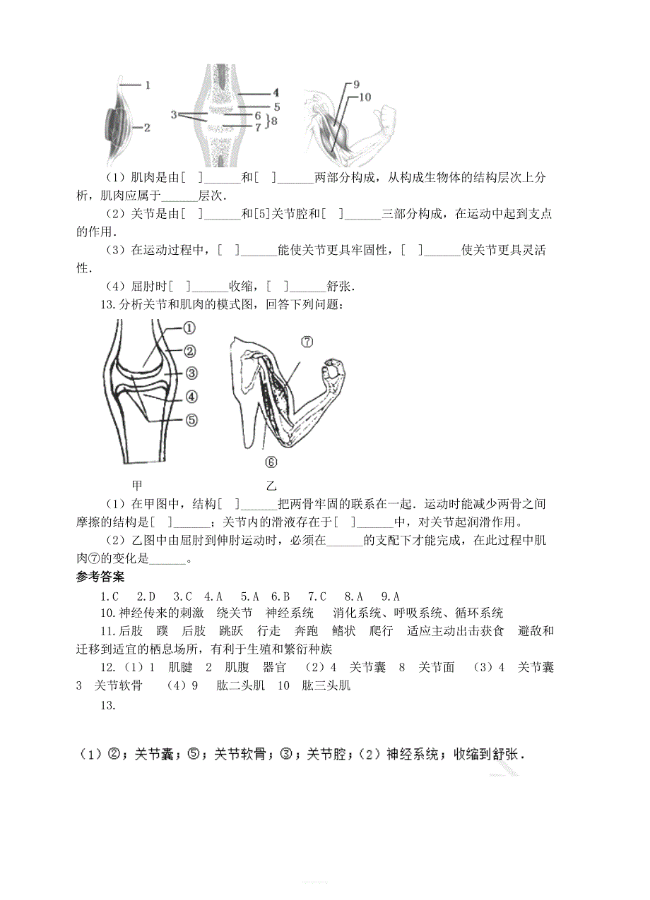 济南版生物七年级上：第二章生物圈中的动物第三节动物的运动同步练习2含答案_第2页