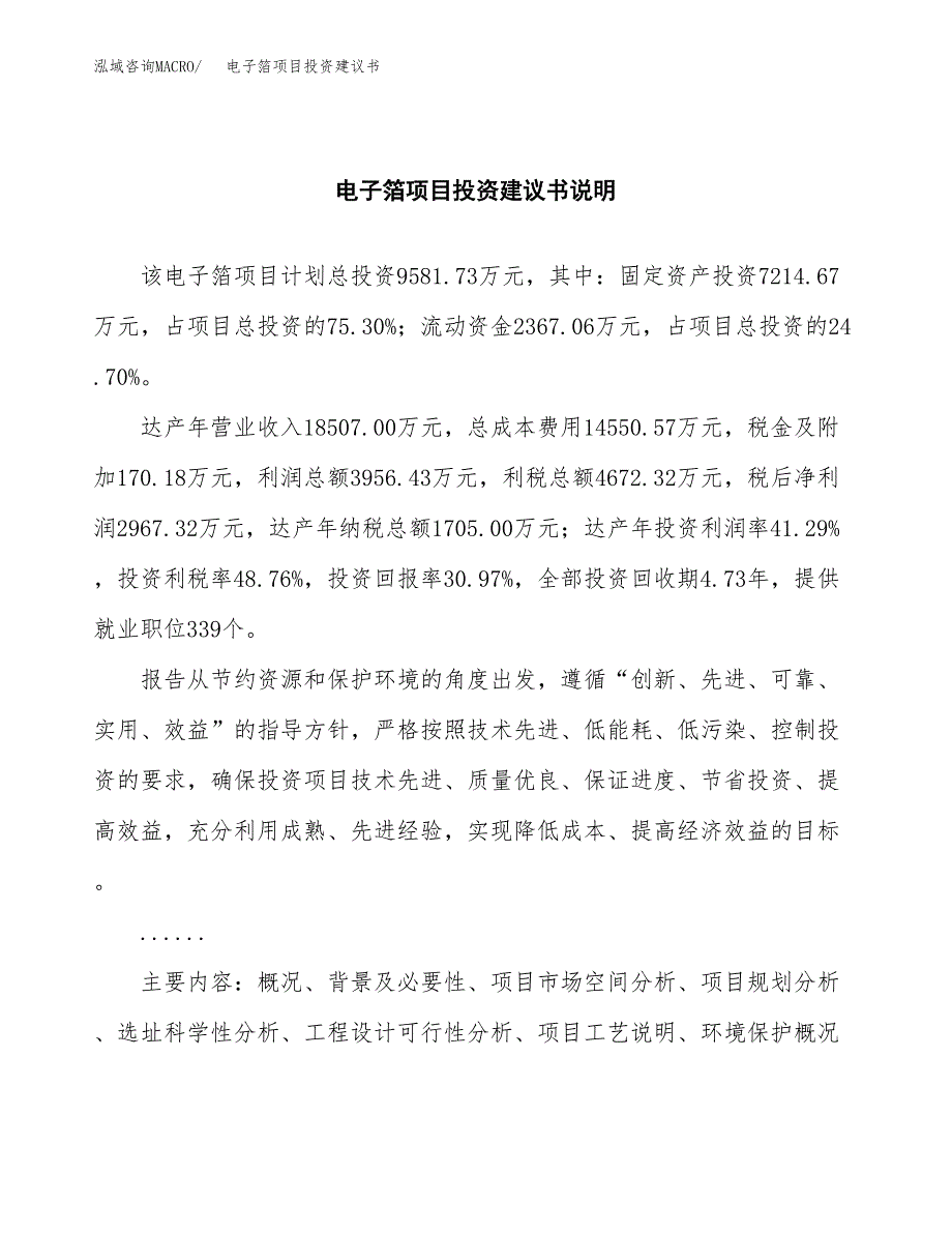 电子箔项目投资建议书(总投资10000万元)_第2页