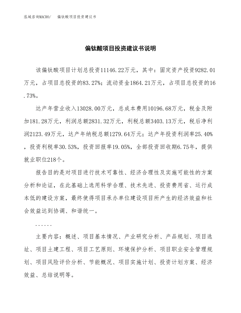 偏钛酸项目投资建议书(总投资11000万元)_第2页