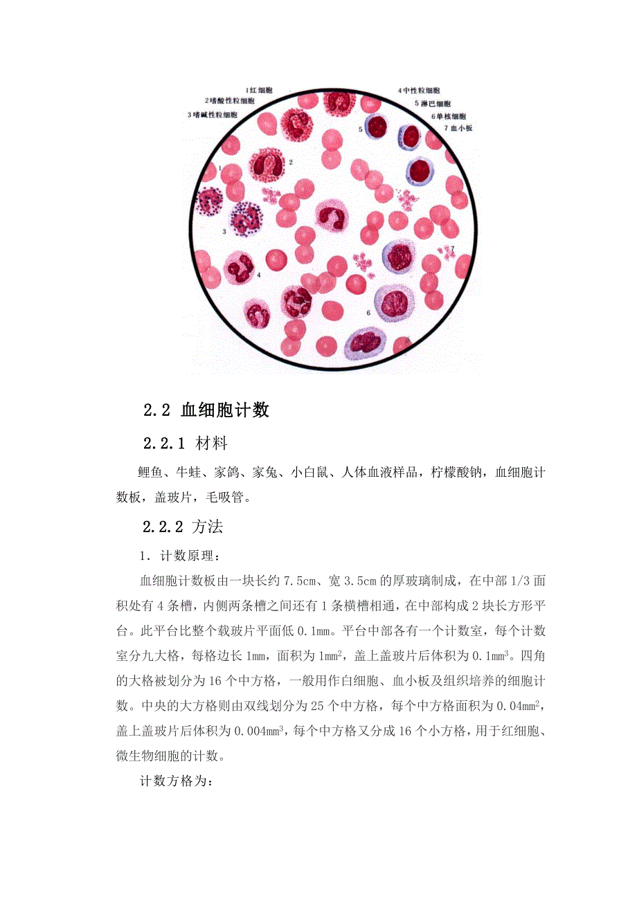 血液实验实验报告汇总_第3页
