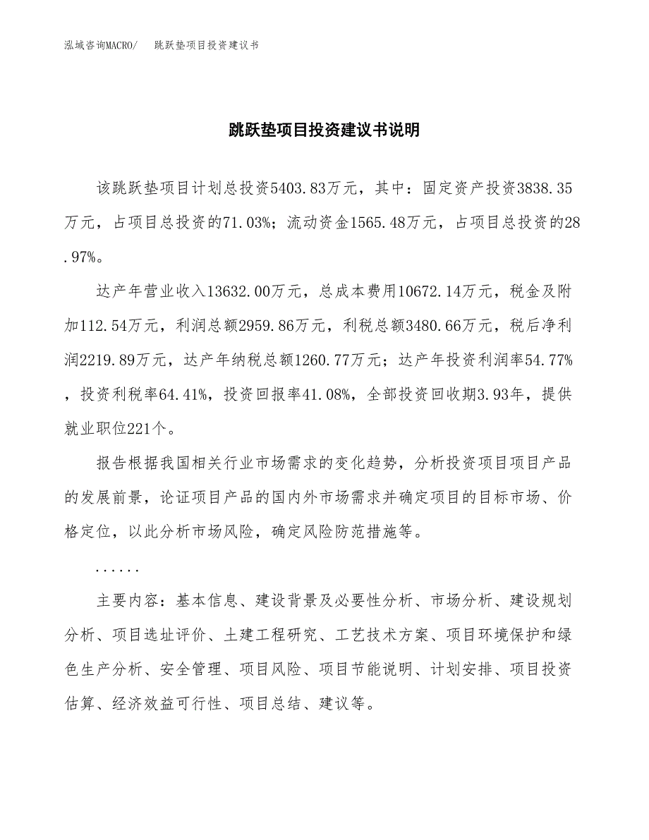 跳跃垫项目投资建议书(总投资5000万元)_第2页