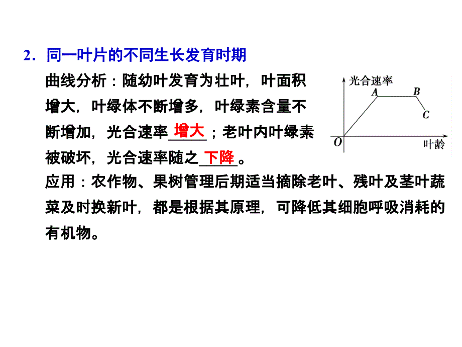 影响光合作 用的 因素_第3页