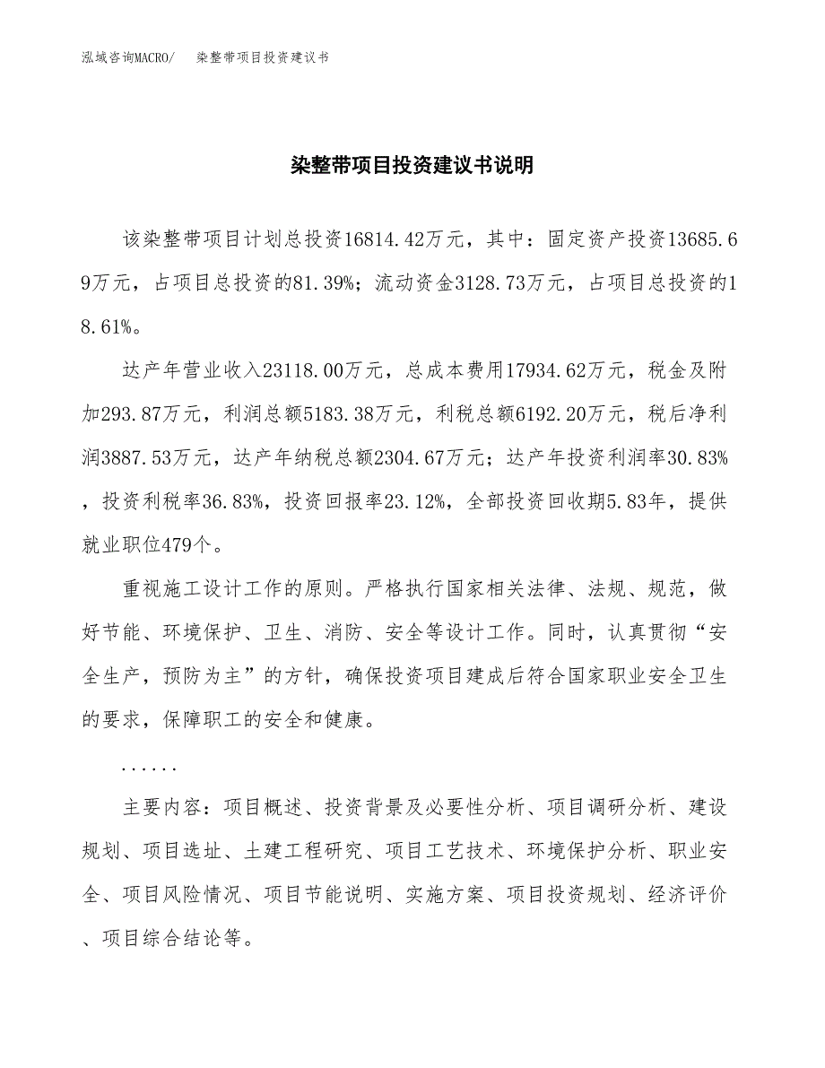 染整带项目投资建议书(总投资17000万元)_第2页