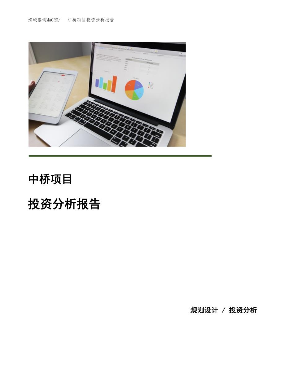中桥项目投资分析报告(总投资10000万元)_第1页