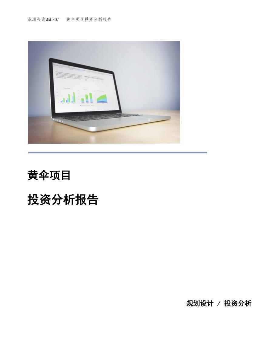 黄伞项目投资分析报告(总投资15000万元)_第1页