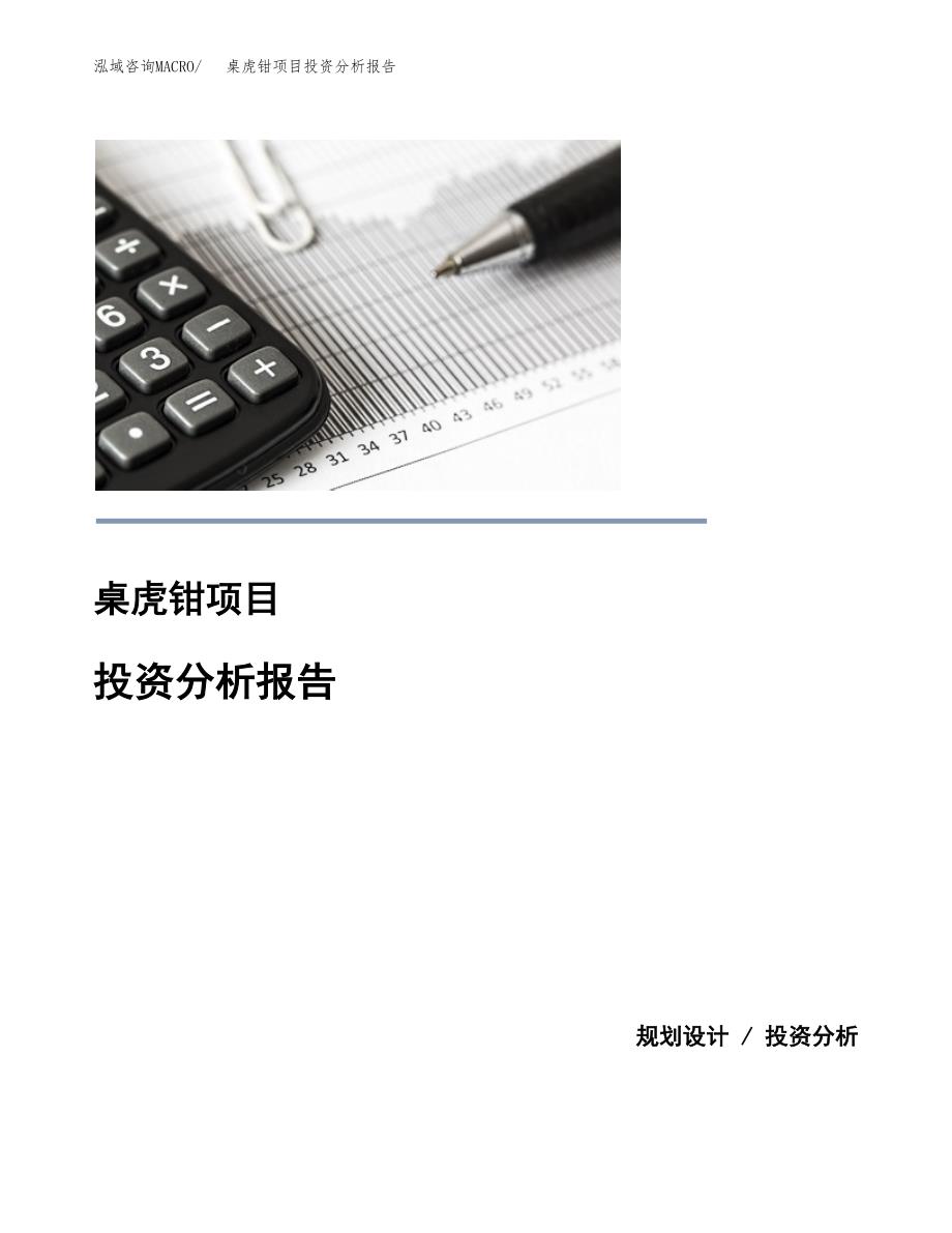 桌虎钳项目投资分析报告(总投资3000万元)_第1页