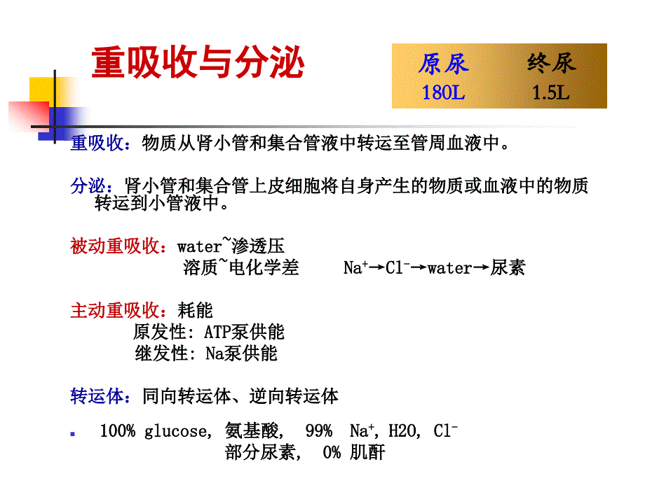 生理学课件肾脏2章节_第2页