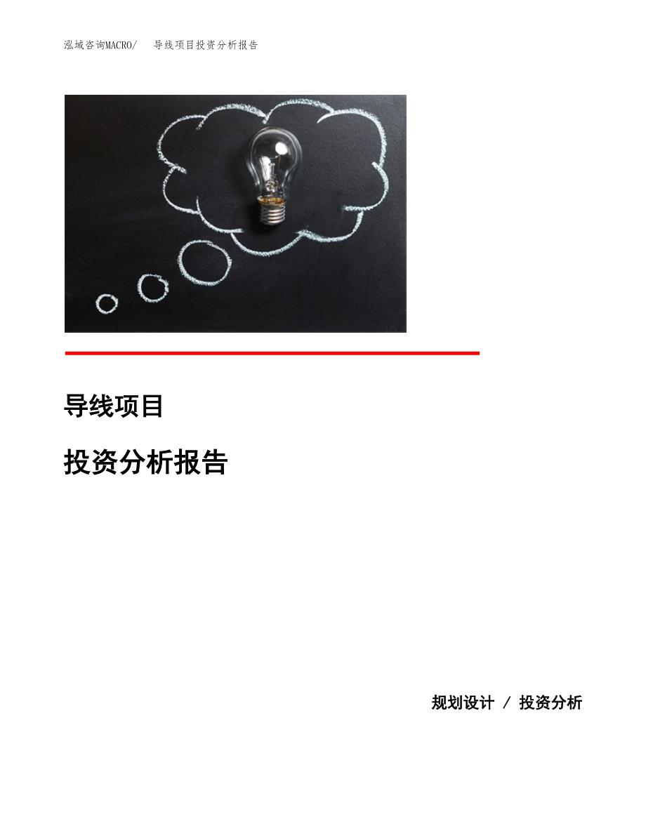 导线项目投资分析报告(总投资10000万元)_第1页