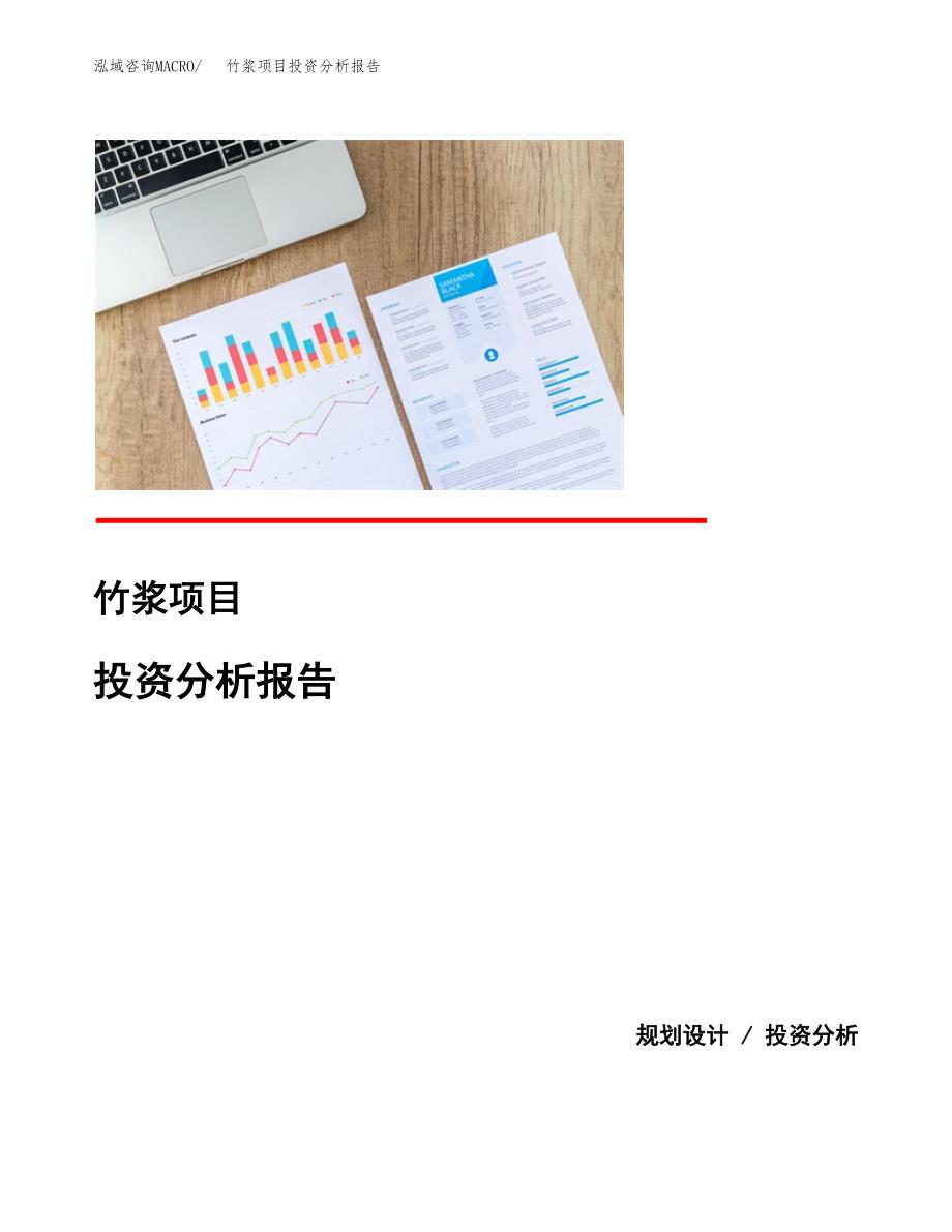 竹浆项目投资分析报告(总投资3000万元)_第1页