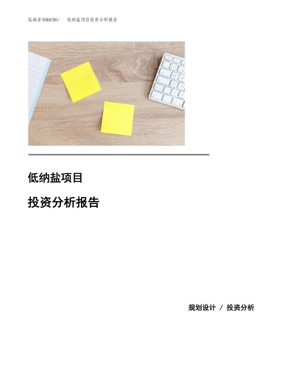 低纳盐项目投资分析报告(总投资9000万元)_第1页