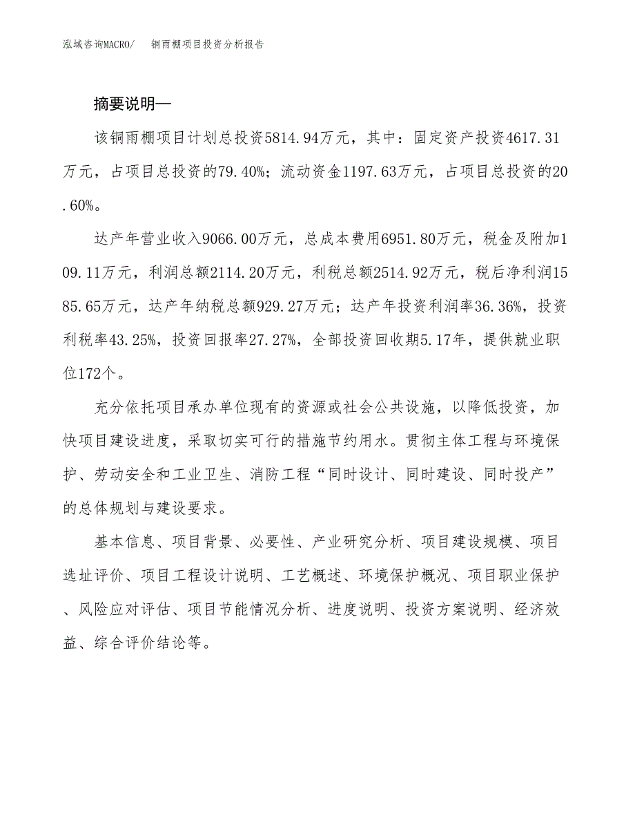 铜雨棚项目投资分析报告(总投资6000万元)_第2页