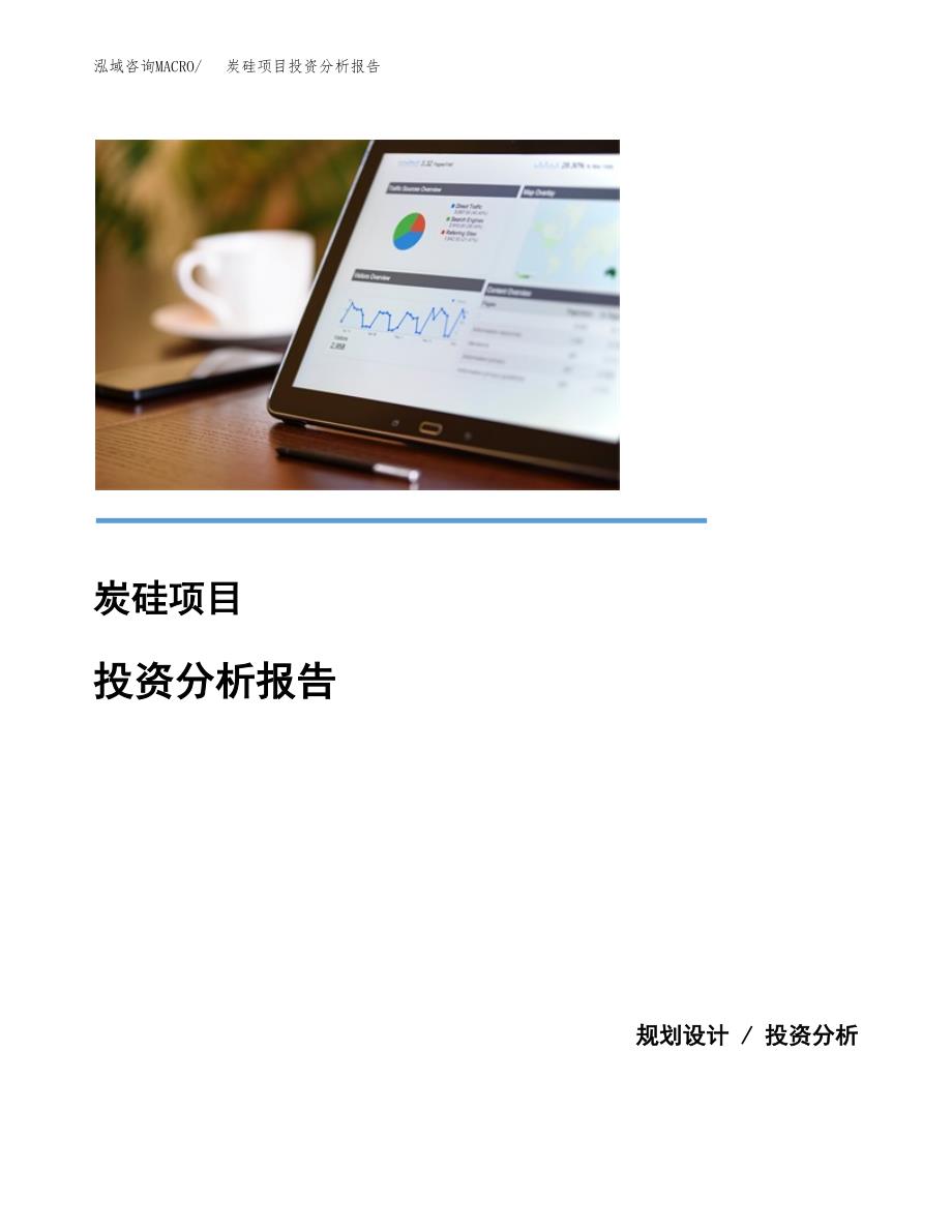 炭硅项目投资分析报告(总投资8000万元)_第1页