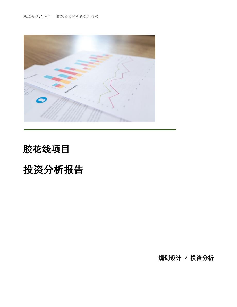 胶花线项目投资分析报告(总投资7000万元)_第1页