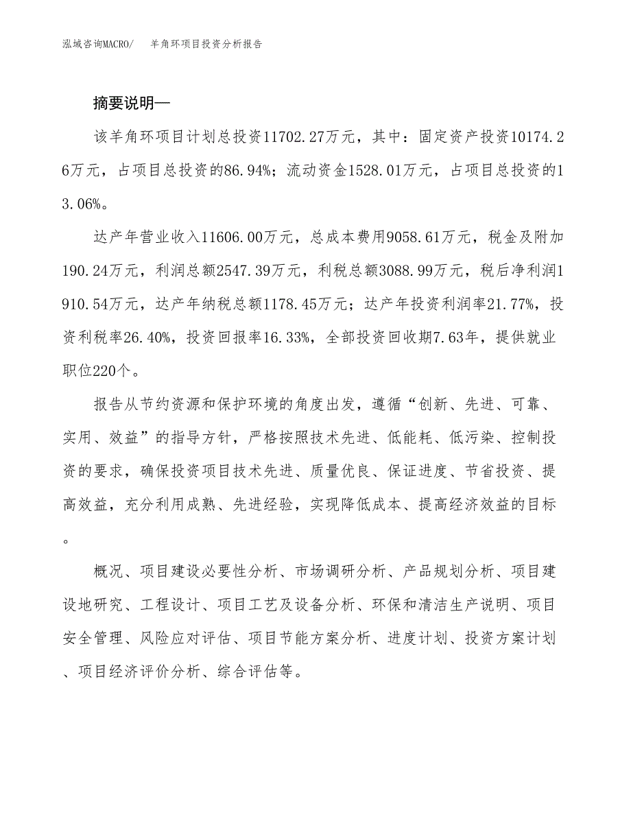 羊角环项目投资分析报告(总投资12000万元)_第2页