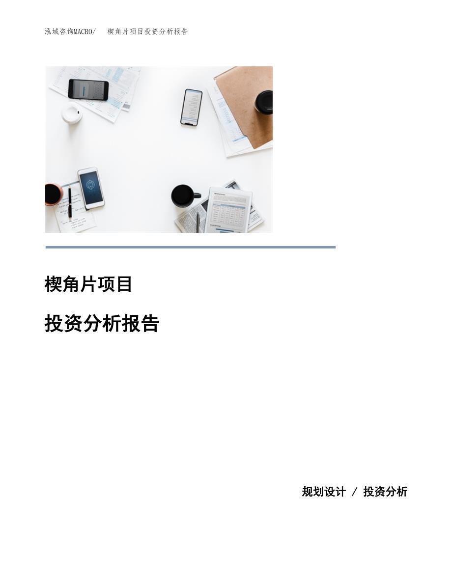 楔角片项目投资分析报告(总投资7000万元)_第1页