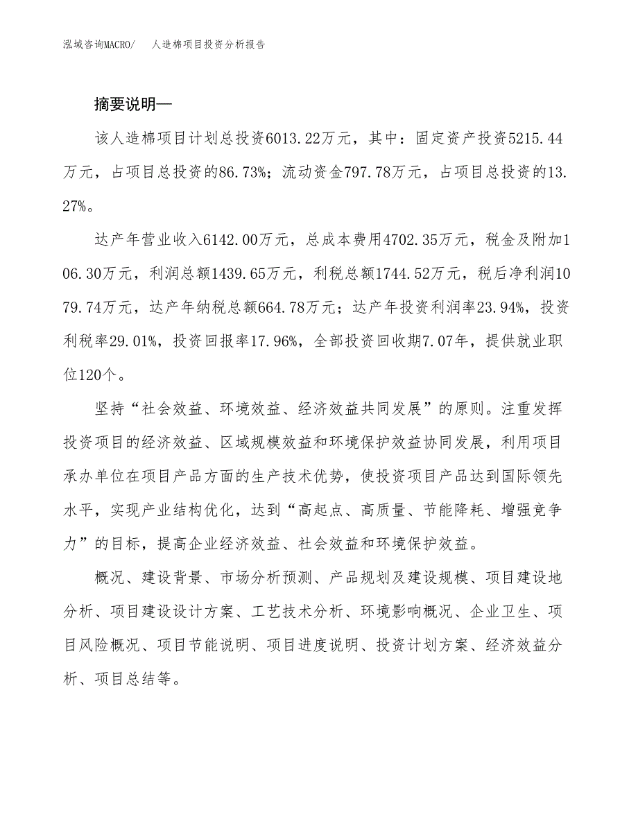 人造棉项目投资分析报告(总投资6000万元)_第2页