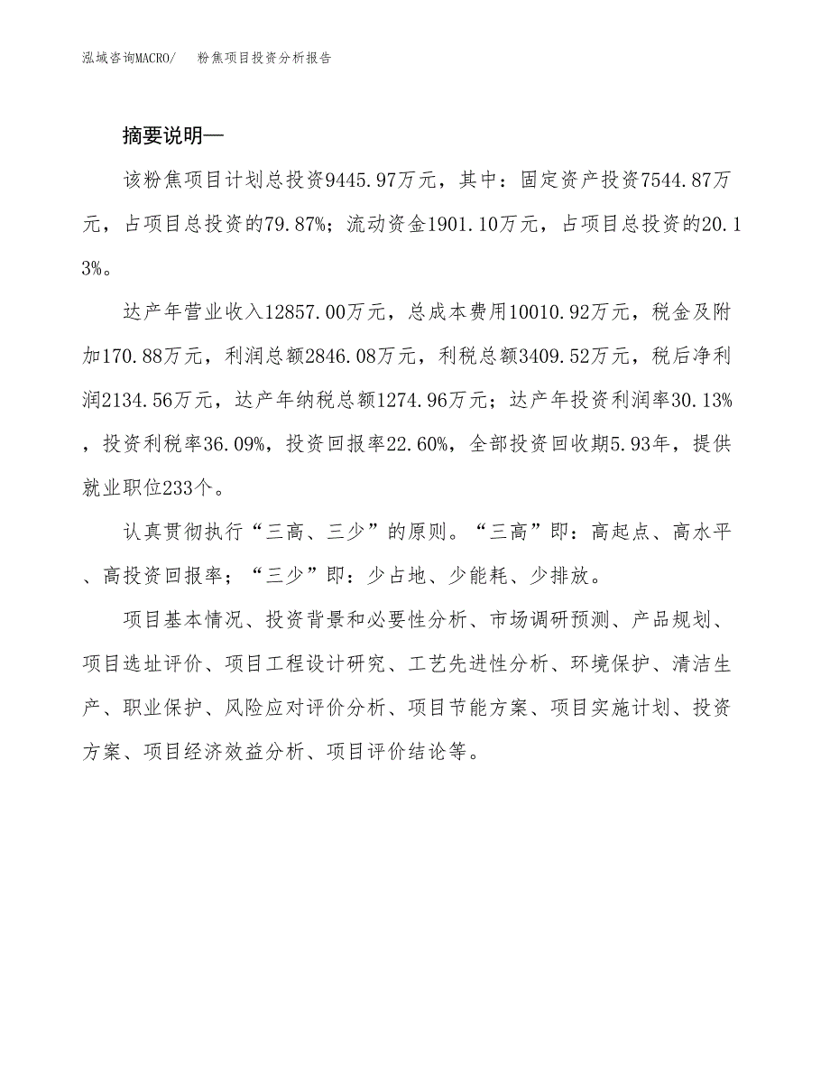 粉焦项目投资分析报告(总投资9000万元)_第2页